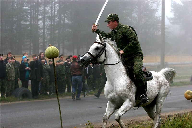 ������������� �����������. ����������