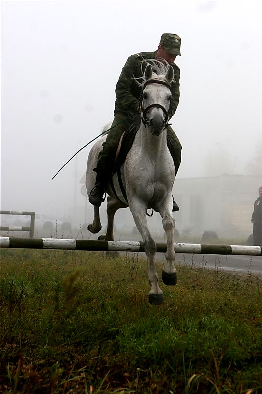 ������������� �����������. ����������