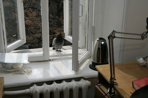 ����� � ����������� ����������.