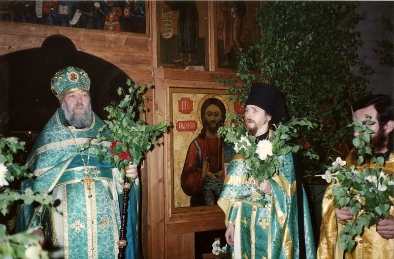          -     -    (). 1994 .