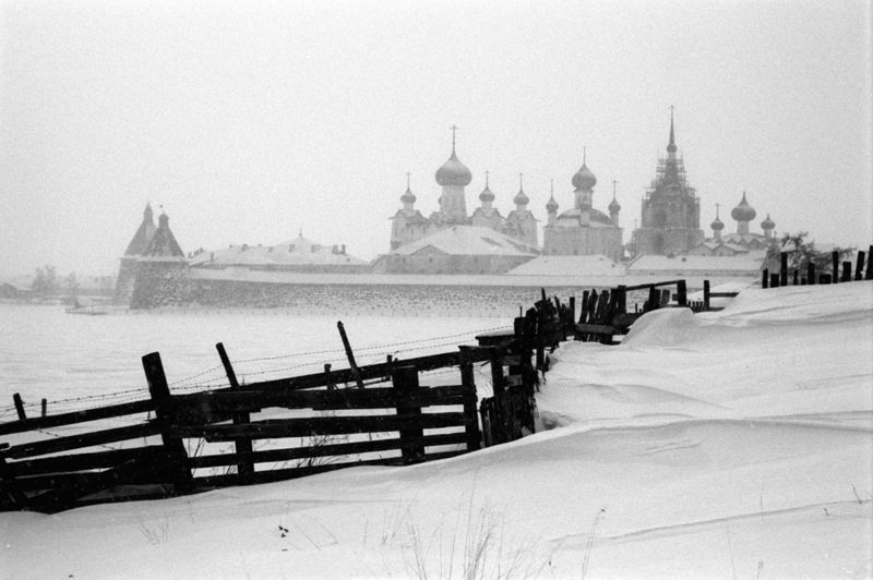 Зимой. Фото: Сергей Веретенников