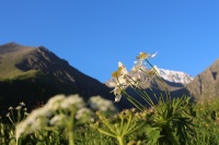 ����������� ���������: ������, ����� �� � ���� ������� ���� � ����� ����, �� �������������� �������