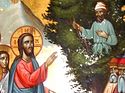 To Seek that which was Lost: A Sermon on Zacchaeus Sunday