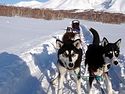Priest takes part in dog team race on Kamchatka