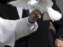 The Vatican hires a hawk to protect the Pope