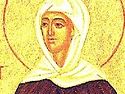 Venerable Ita of Limerick, Foster-mother of the Irish Saints