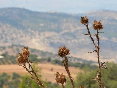 Тель-Мар-Ильяс: там, где родился пророк Илия