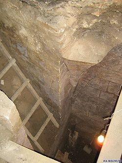 Общий вид раскопа. Фото ИА REGNUM 