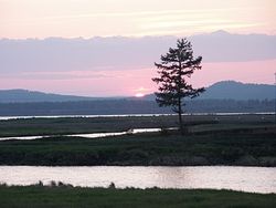 Фото: Юлия Биктимирова