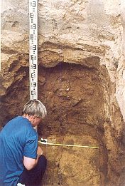 Выявленные контуры колоды погребения Преподобного Герасима. Археолог Т.Д.Панова, 17 июля 2001года.