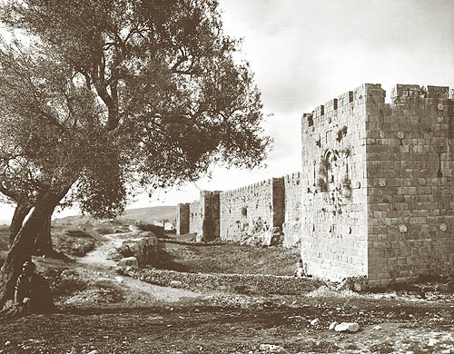 Да созиждутся стены Иерусалимские! До середины XIX века Святой Град не выходил из их пределов, устроенных султаном Сулейманом Великолепным еще в XVI веке. Обрамленный зубцами и башенками, открывался Иерусалим издали взору паломников как город, слитый в одно здание (Пс 121:3). На фотографии вид стен с Запада, откуда подходили поклонники к Святому Граду. Снимок Американской колонии в Иерусалиме. 1890-е гг.