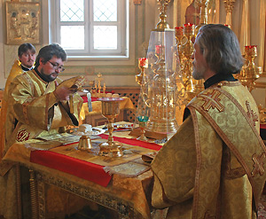 Фото Д. Елистратова