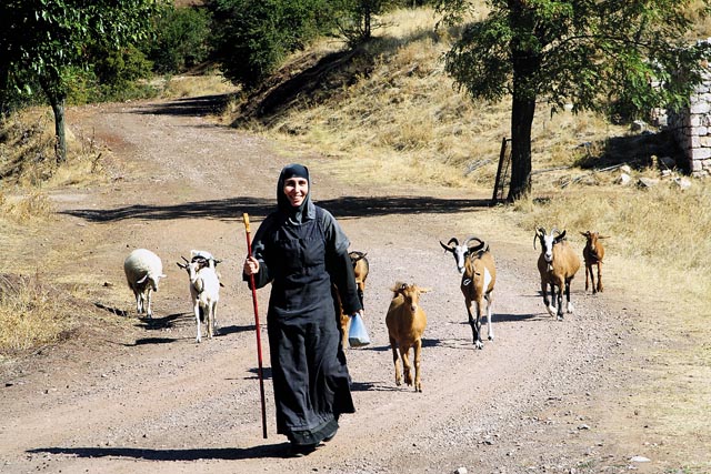 Сестра Эсфирь, русская. Ее послушание — писать иконы и ухаживать за животными