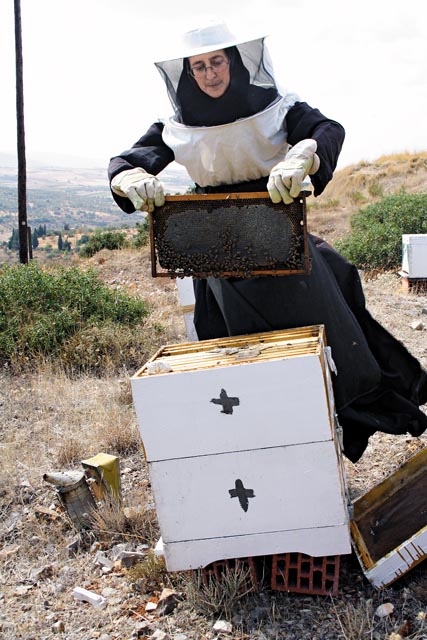 Монахиня Иаковия, американка украинского происхождения, на монастырской пасеке в монастыре Воздвижения Честного Креста в Фивах
