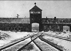 Загрузить увеличенное изображение. 314 x 235 px. Размер файла 26905 b.
 