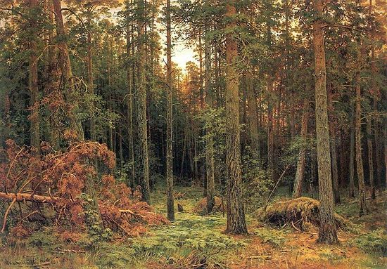 И.И. Шишкин. Сосновый лес. 1885 г.