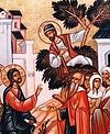 Sermon on the Gospel of the Sunday of Zacchaeus
