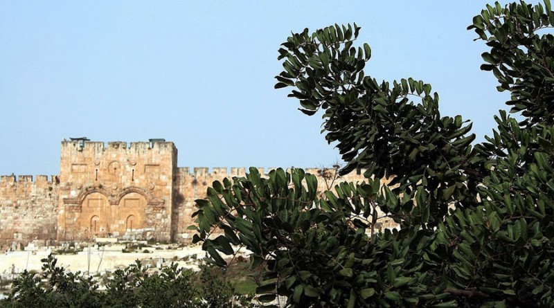 Мозаика Святой Земли. Фото: Ольга Тищенко