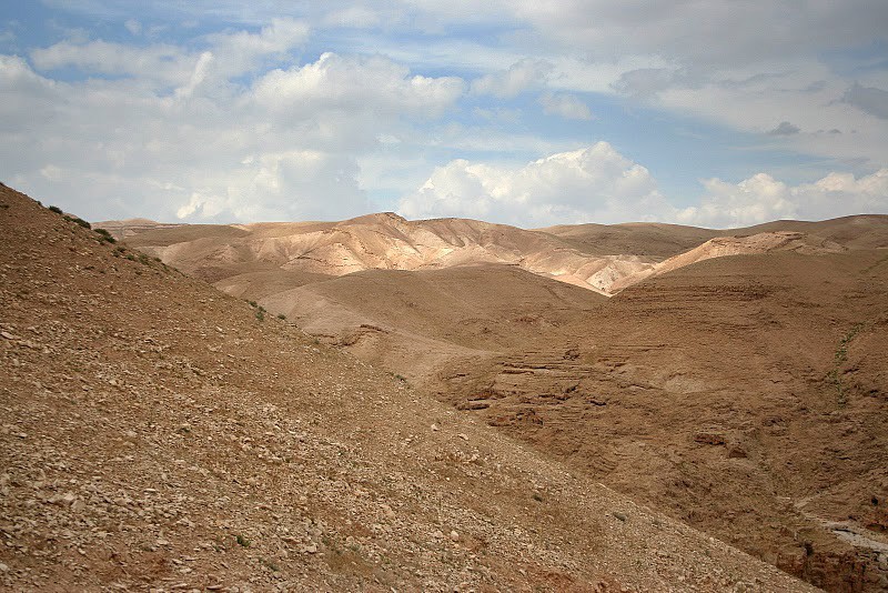 Мозаика Святой Земли. Фото: Ольга Тищенко