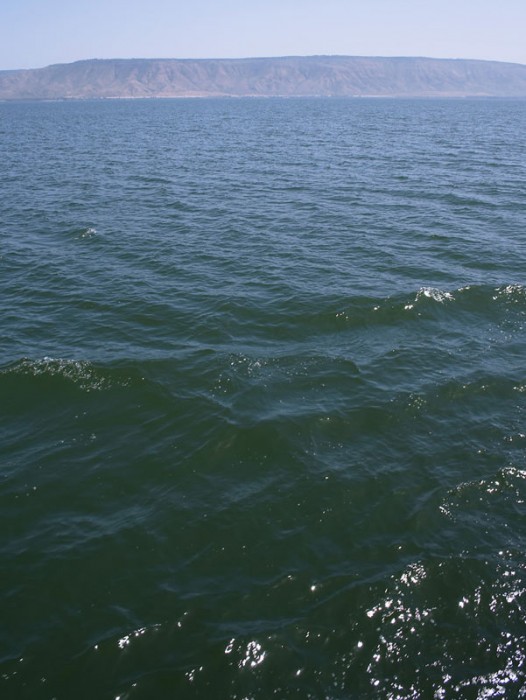 Галилейское море. Нежные воды. Фото: Ольга Тищенко