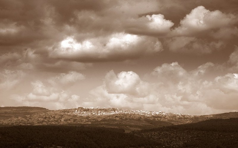 Вид с горы Фавор. Фото: Ольга Тищенко