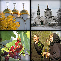 Времена года в Никольском