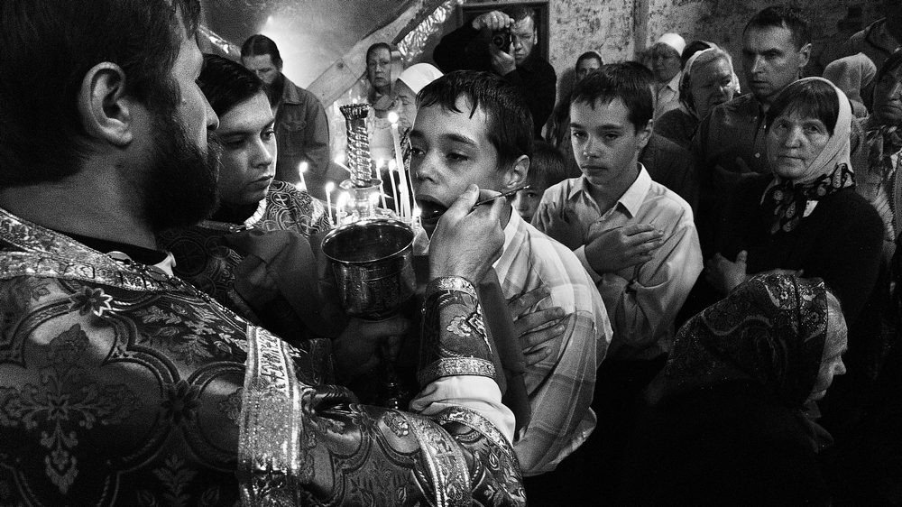 Близнецы. Фото: Александр Осокин