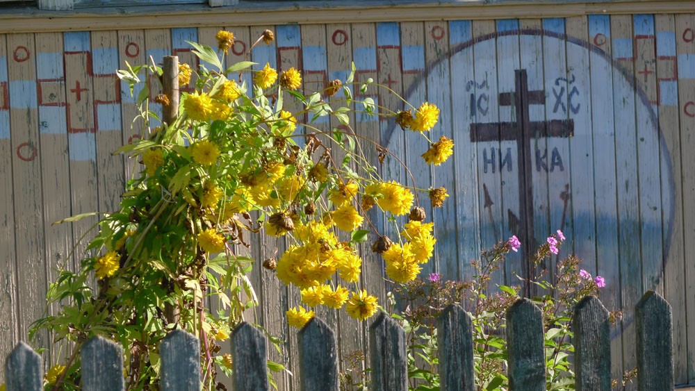 Домик в деревне. Фото: Александр Осокин