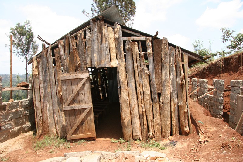 Hope for the Kikuyu.  Photo: Denis Makhanko 