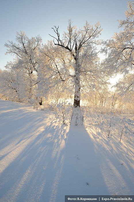 Мороз и солнце. Фото: Виктор Корнюшин