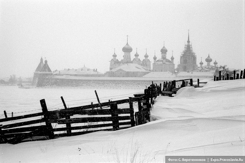 Забор. Фото: Сергей Веретенников