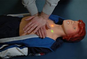 Робот-тренажер, на котором в Школе В.Г.Бубнова отрабатываются навыки помощи пострадавшим, рекомендованный МЧС для обучения гражданских лиц 