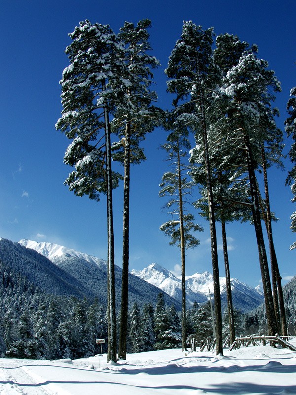 КЧР. Нижний Архыз. Зима