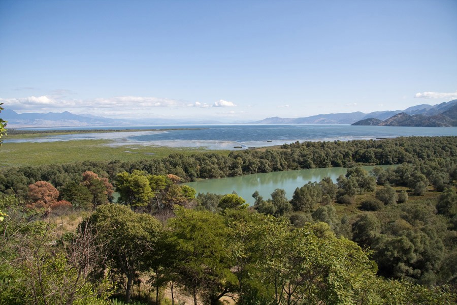 Вид на Сказадское озеро. Фото: Карина Дрыганова