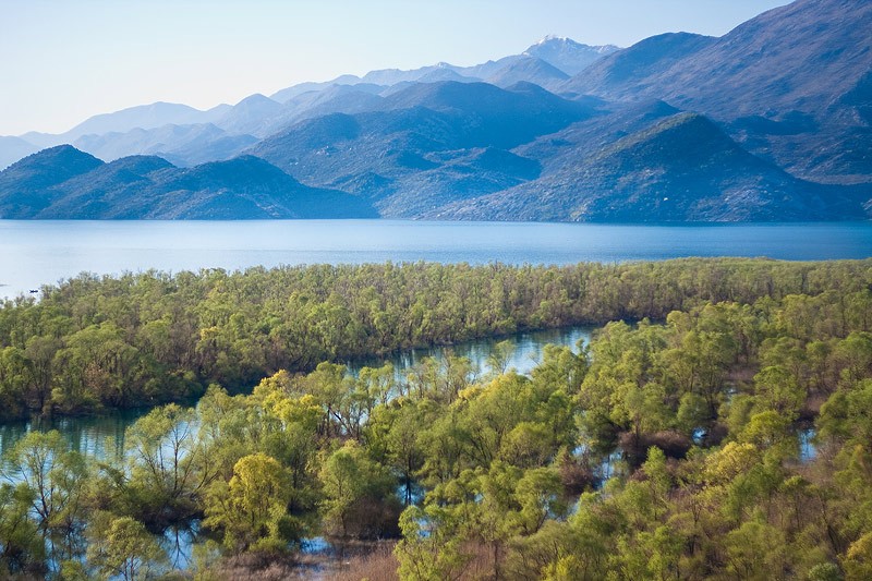 Скадарское озеро. Фото: Карина Дрыганова