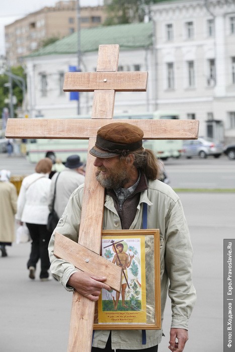Крестоносец. Фото: Владимир Ходаков