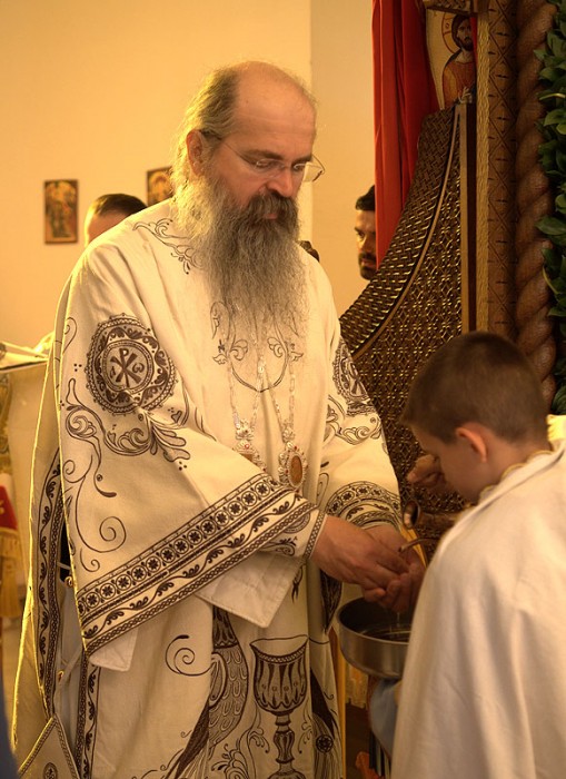 Епископ Рашко-Призренский Феодосий. Божественная литургия в храме свт.Василия Острожского в Лепосавиче. Фото: Антон Камальдинов