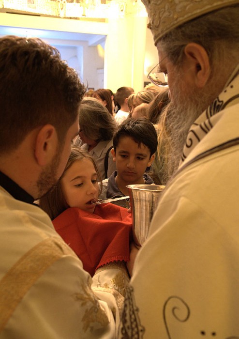 Причастие. Божественная литургия в храме свт.Василия Острожского в Лепосавиче. Фото: Антон Камальдинов