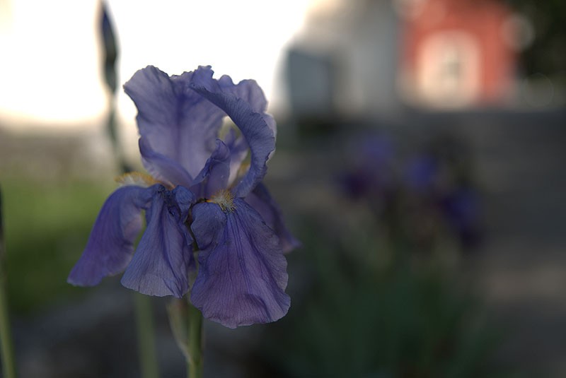 Три дня в Косово и Метохии. Фото: Антон Камальдинов