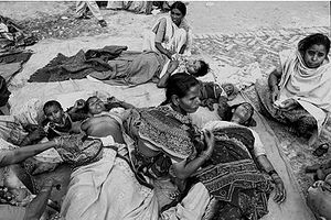 Mass sterilization camp in India. © Nick Rain