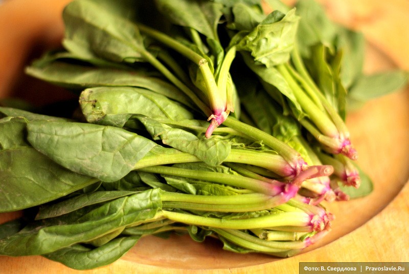 Шпинат. Фото: Виктория Свердлова / Православие.Ru