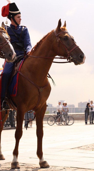 Конный поход Москва – Париж 1812-2012. Фото: Юлия Руденко / Православие.Ru