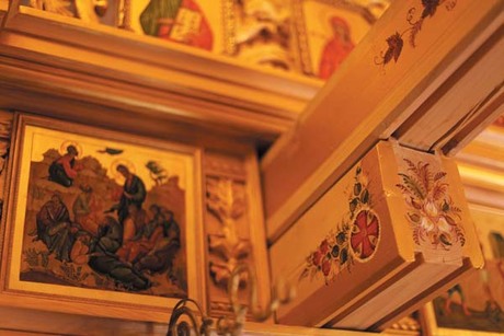 Flowers of the eternal summer of Petrykivka. Photo: Kostyantyn Chernichkin.