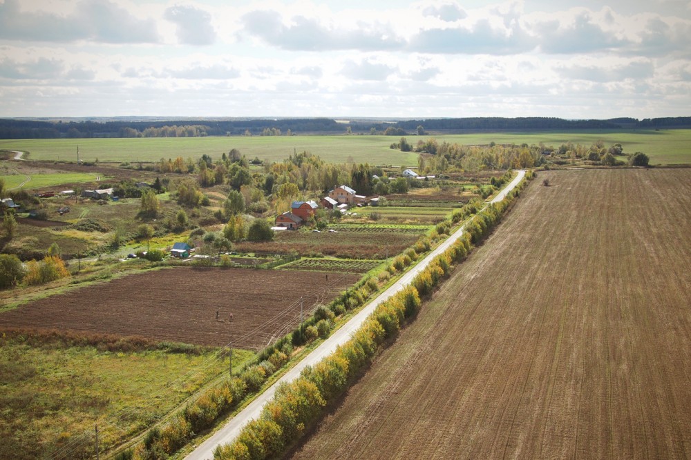 Поля. Фото: Михаил и Екатерина