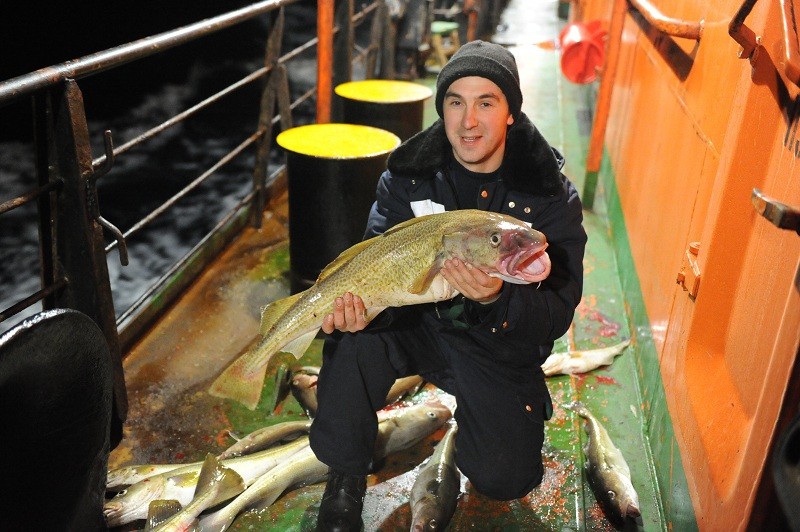 Чудесная ловля рыбы. В тот день, когда владыка служил последнюю литургию на борту «России», – 7 октября – читалось Евангелие о чудесной ловле рыб, которых не  могли вместить лодки. И вот капитан вдруг принял решение остановиться и ловить рыбу. Треску по  7-8 кг только успевали доставать. Мешок с уловом одного человека приходилось нести вдвоем.    «Освящение Русской Арктики. Путевые заметки владыки Иакова» читайте здесь