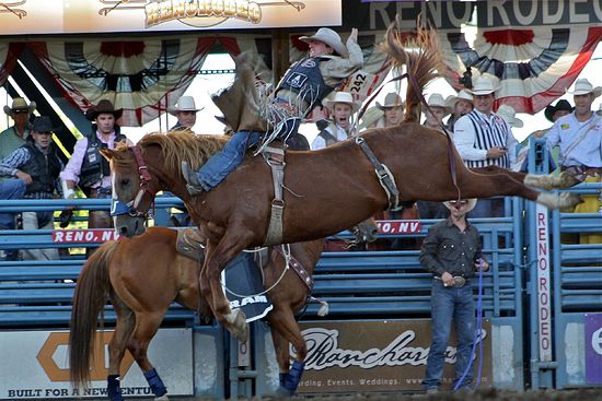 A rodeo in Reno, NV.