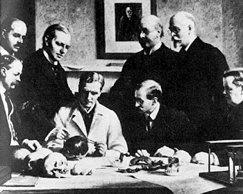 Группа ученых рассматривает череп питлдаунского человека (впоследствии признанного фальшивкой). Сзади на стене - портрет Ч. Дарвина