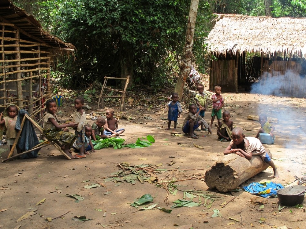 Пигмейская деревушка. Сценка из жизни пигмейской деревушки – мамы в поле, папы на охоте (рыбалке), старшие дети занимаются младшими. Широкие листья банана служат тарелками, а также являются универсальной упаковкой – в них можно завернуть все что угодно