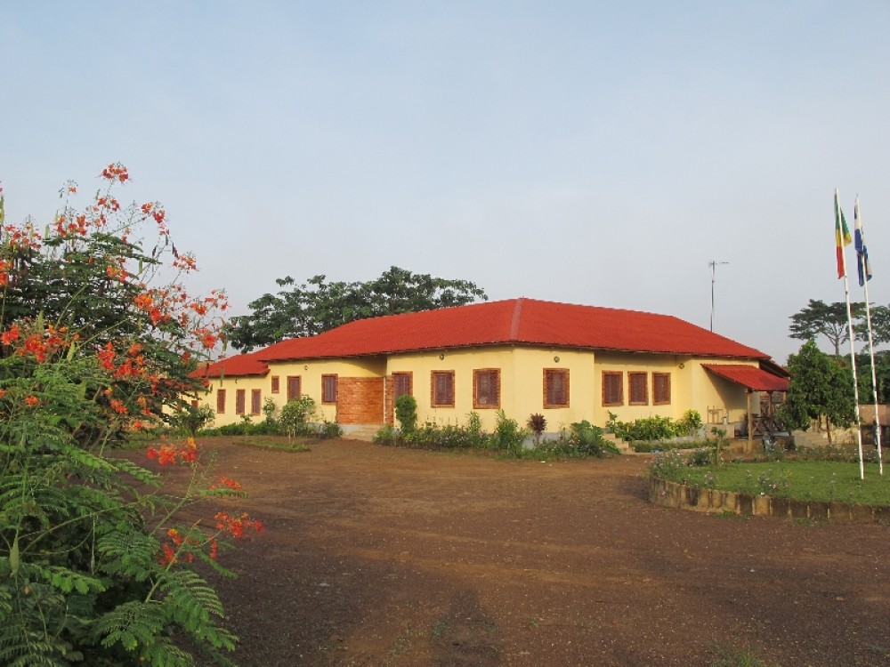 Школа «Свет народов», Долизи