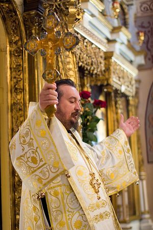 Епископ Горнокарловацкий Герасим (Попович). Фото: serbskoe-podvorie.ru